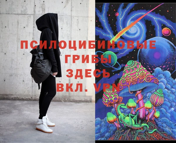 таблы Няндома