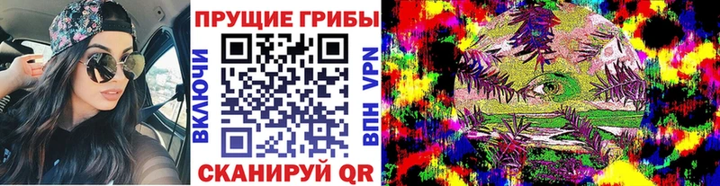 цены наркотик  Строитель  Галлюциногенные грибы Psilocybine cubensis 
