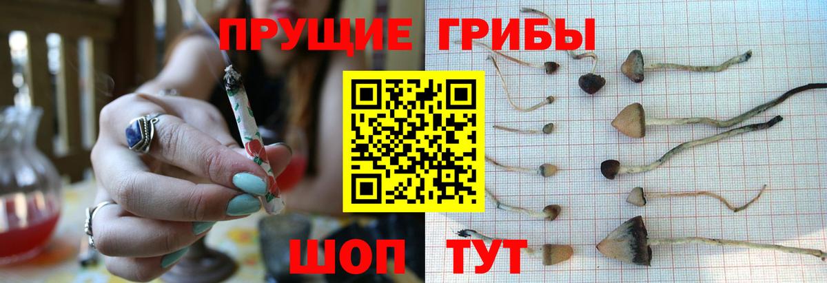 Галлюциногенные грибы Cubensis  хочу   Псилоцибиновые грибы мухоморы  Строитель  Вход с VPN 
